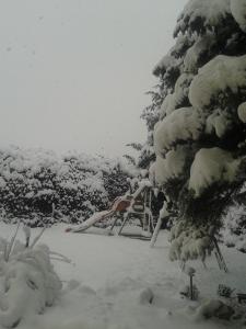 einen schneebedeckten Baum mit einem Stuhl davor in der Unterkunft Haus Santorum in Sankt Michael im Lungau