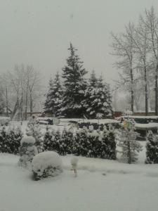 ザンクト・ミヒャエル・イム・ルンガウにあるHaus Santorumの雪に覆われた木々や茂みのある庭園