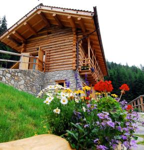 a log cabin with flowers in front of it at Chalet Nel Doch in Canale San Bovo