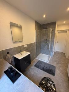 a bathroom with a shower and a sink and a mirror at Ruhiges Apartment Meerane in Meerane