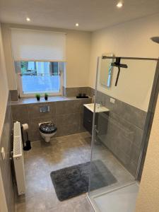 a bathroom with a shower and a toilet and a sink at Ruhiges Apartment Meerane in Meerane