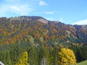 una vista de otoño de una montaña con árboles en Ferienhütte Kälberweide, en Hittisau