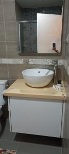 a bathroom with a white sink and a mirror at Casa Sheila in Mahmudia