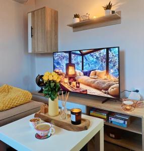 a living room with a large screen tv in a room at Počitniška hiša Kuferland in Dobrovnik