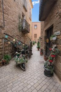 a courtyard with potted plants in a stone building at Les Eres de Palouet- Casa de campo con piscina privada in Palouet