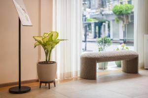 a plant in a pot sitting next to a window at Upstairs at Ton Ton in Bangkok