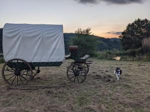 a dog standing next to a horse drawn carriage at La Calèche Western in Lafarre +3 photos