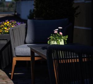 a couch and a table with a potted plant on it at Apartment Gabriel in Melk