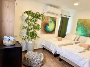 a room with two beds and a potted plant at אצל מאיה ואבשי Maya and Avshi in Neʼot HaKikar