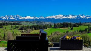 a living room with a couch and flowers and mountains at Góralska Dolina II Jacuzzi & Sauna in Zakopane