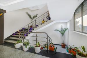 a staircase with potted plants in a building at Hotel O D Suites in Hyderabad