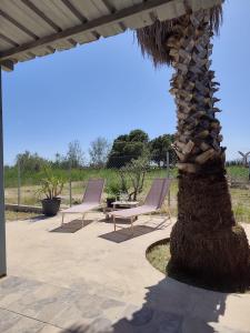 two chairs and a table next to a palm tree at La Caseta Dels Avis in Sant Jaume d'Enveja