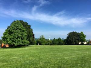 a large green field with a tree in the middle at Garden room, central Winchester in Winchester