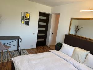 a bedroom with a bed and a mirror and a desk at MIK Chalet in Săcele