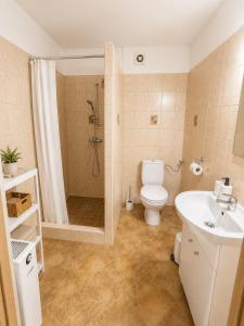 a bathroom with a shower and a toilet and a sink at Sielanka nad Junem in Mrągowo +52 photos