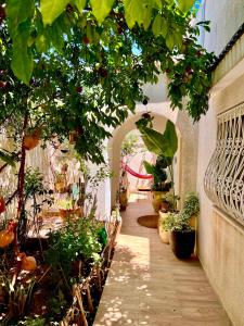 a hallway with a bunch of potted plants at Sweet Home in Ariana