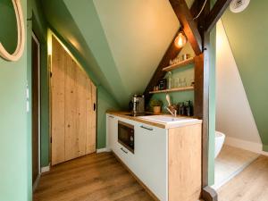 an attic kitchen with green walls and a white sink at Cabane urbaine in Sarreguemines