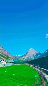 a field of green grass with mountains in the background at Forest Glen Cottage in Wāmpor