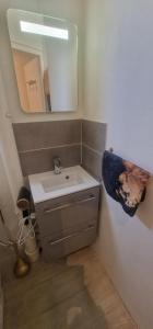 a bathroom with a sink and a mirror at Urban Duo Saumur in Saumur