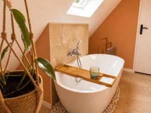 a bathroom with a bath tub and a potted plant at Voyage à Bali in Sarreguemines +2 photos