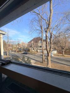 a window view of a street with a tree at Downtown Halifax near waterfront in Halifax +3 photos