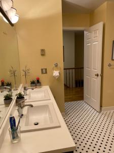 a bathroom with a sink and a mirror at Downtown Halifax near waterfront in Halifax