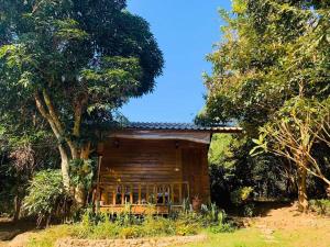 a small wooden cabin in the middle of trees at Pai yard on Hill in Pai