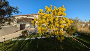a yellow tree in the yard of a house at Les Geckos in Saintes-Maries-de-la-Mer
