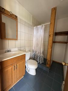 a bathroom with a toilet and a sink and a mirror at ERV Club - Villas in Lixouri +10 photos