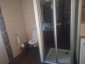 a bathroom with a shower and a toilet at Schwarze Gräfin in Spital am Pyhrn +4 photos