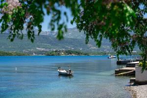 a small boat in a body of water at Aruba Apartments in Tivat