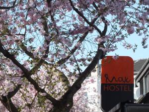 Certifikát, hodnocení, plakát nebo jiný dokument vystavený v ubytování Max Hostel