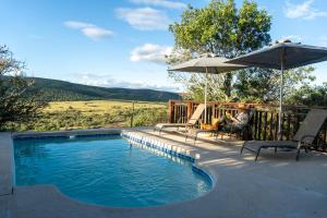 a person sitting under an umbrella next to a swimming pool at Addo Nyala Guest Lodge in Paterson