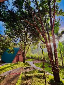 a small house with a blue roof and some trees at Green Forest Cabanas - Ella in Ella