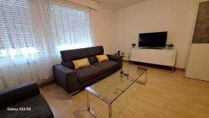 a living room with a couch and a tv at Messe-clarastrasse -Wohnung in Basel