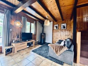 a living room with a couch and a television at Chalet Le Jeuna in Morgins