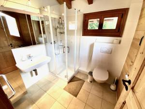 a bathroom with a shower toilet and a sink at Chalet Les Dalton, Morgins in Morgins