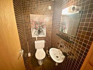 a bathroom with a toilet and a sink at 4 person apartment in central location in Morgins