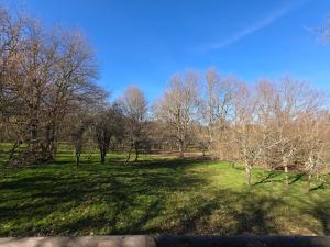 a grassy field with trees in the background at La clés des champs in Loubeyrat