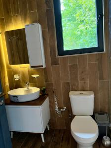 a bathroom with a toilet and a sink and a window at Tianuli cottage in Kakhoianebi