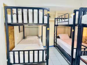 two bunk beds in a dorm room with at Dancenter Bupatara Chiangmai in Chiang Mai