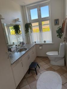 a bathroom with a sink and a toilet and windows at Bondegård med havudsigt in Kolding
