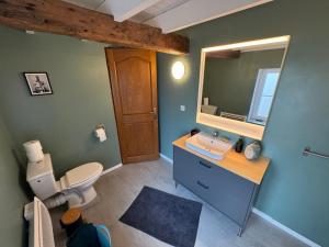 a bathroom with a toilet and a sink and a mirror at MAISON DE VACANCES aU 91 in Ardres +9 photos