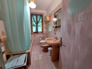 a bathroom with a sink and a toilet and a shower at Iridea in Lamoli Di Borgo Pace