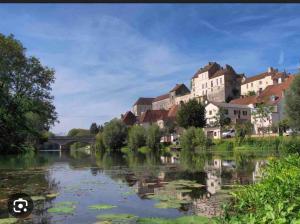 a view of a river with houses and a bridge at Escale Pesmoise in Pesmes