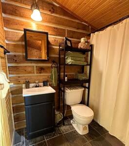 a bathroom with a toilet and a sink at Cedar Gap Hideaway in Indiana in Birdseye