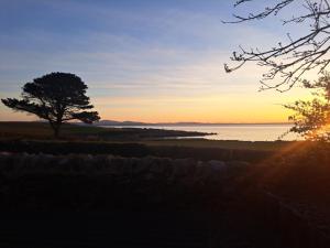a tree in front of the ocean at sunset at Rowan in Whithorn