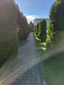 a cobblestone path with bushes and trees on the side at DELFIN - Lawendowy Zakątek in Sianozety