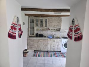 a kitchen with a sink and a washing machine at La Umbra Muntilor Traditional House in Ocoliş