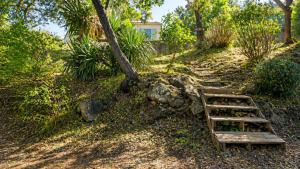 a wooden staircase leading up a hill with a tree at Piscine & Vue Mer, Maison Familiale Corse, accès cascade in Santa-Maria-Poggio
